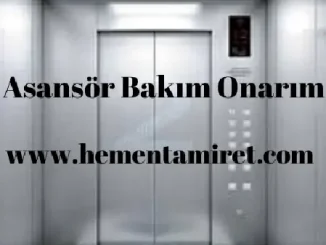asansör bakım onarım
